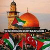 onur_can.zk