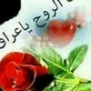 userl9horovox5