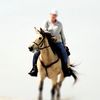 buckskinponygirl