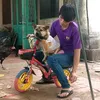 sala_ngoc
