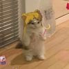 totallynotsailormoon