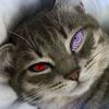 rahmad_702