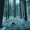 user7e7tm1bgsz