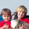 Magno o Galgo