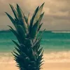 bothon_999