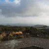 andrecata0517