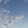 aoao769