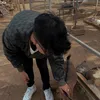 _johnnytran_