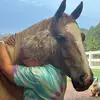 trish_horselvr