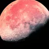 callme_user275