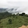 zz0968.tiktok
