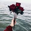 waloodwalood0