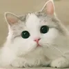 uservk5wfd0uzw