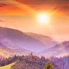 user4137196580617