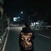 kamituonoom