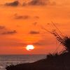 mohamed_halond67