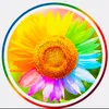 himawari107303884