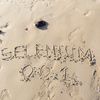 selenium_lion