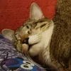 leerlana