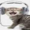 mitskisdght
