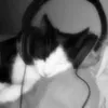 nyewerr