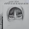 1.art.11