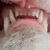 entrylevel04