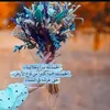 am_amer.8