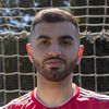 shauyan_n17