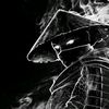 user4903827620847