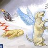 israel9626