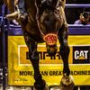 Penthouse Pro Rodeo