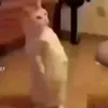 minh.le2417