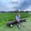 dewisuhendar62