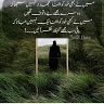 muhammadasif4588
