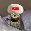 mamebov.com_