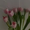vnnzae