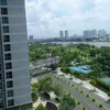 random.clips.on.internet