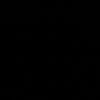 696wyzienn