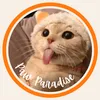 pawsparadise20
