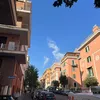 louiselopez0