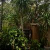 rafiihusein