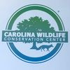 Carolina Wildlife