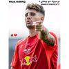 rb_nervozo_7
