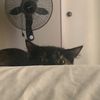 steph_0202