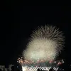 1204vnna