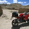 stalker_rider