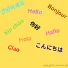 polyglot_wanna_be
