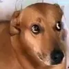 user3xwsfywb1j