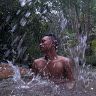 fauzii_252